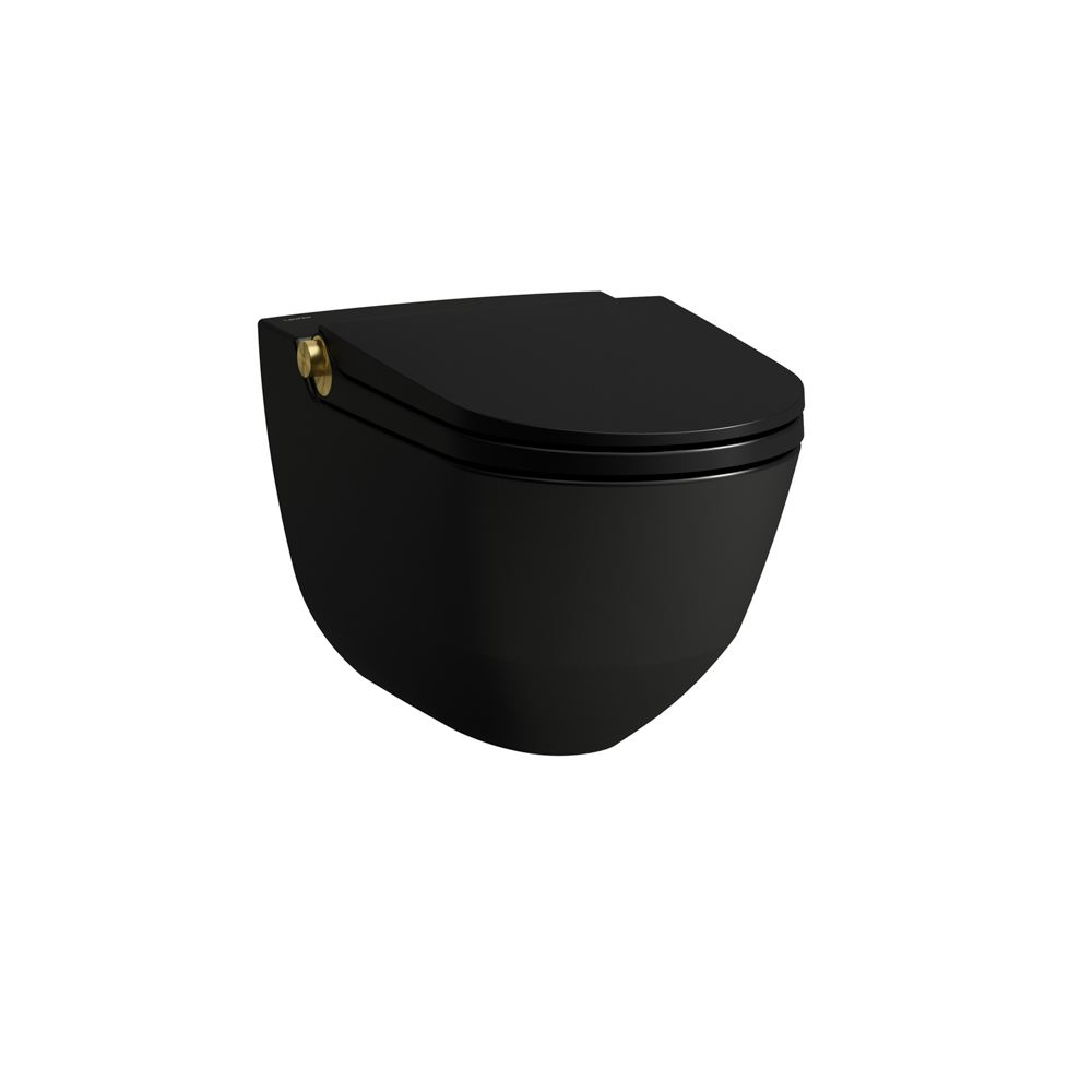 Laufen Dusch-T-WC wandh. RIVA 600x355x405 rim. sch mt m. Controller Gold gl H8206917170001 Laufen Dusch-T-WC wandh. RIVA 600x355x405 rim. sch mt m. Controller Gold gl H8206917170001