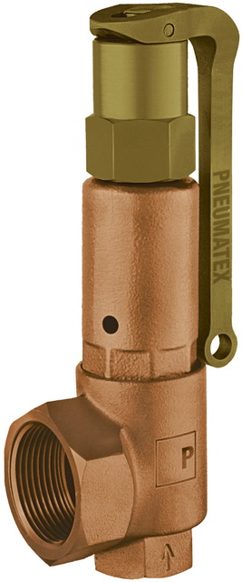 PNEUMATEX Sicherheitsventil DSV DSV 15-3.0 DGH, IG/IG, Rotguss 5361030