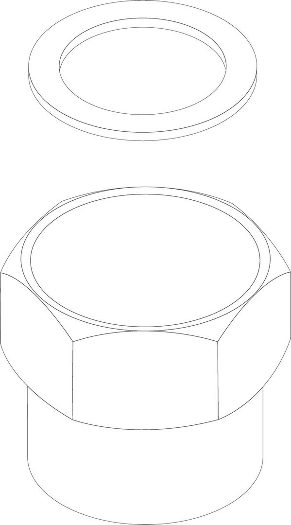 BOSCH Ersatzteil TTNR: 8738809625 Anschlussverschraubung R1" Everp BOSCH Ersatzteil TTNR: 8738809625 Anschlussverschraubung R1" Everp
