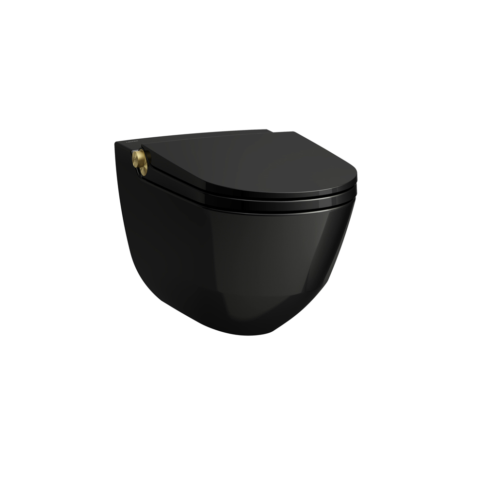 Laufen Dusch-T-WC wandh. RIVA 600x355x405 rim. sch gl m. Controller Blasgold mt H8206910230001 Laufen Dusch-T-WC wandh. RIVA 600x355x405 rim. sch gl m. Controller Blasgold mt H8206910230001