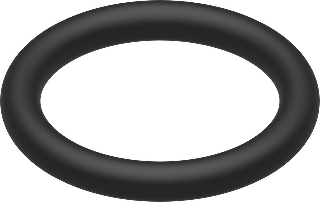 BOSCH Ersatzteil TTNR: 8738808504 O-Ring 15,54x2,62 (5x) everp