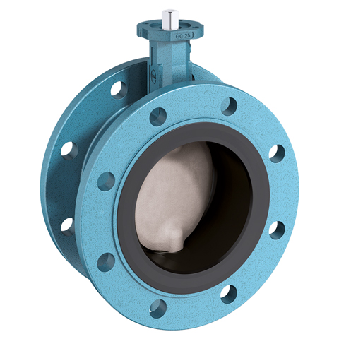 EBRO Absperrkl. F012-A Doppelfl.g. HK DN 350 ohne Betaetigung PN 10 50000319