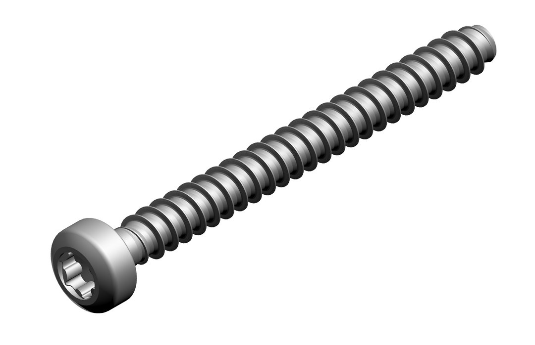 BOSCH Ersatzteil TTNR: 7736700683 Schraube M 35 x 35 (2x) BOSCH Ersatzteil TTNR: 7736700683 Schraube M 35 x 35 (2x)