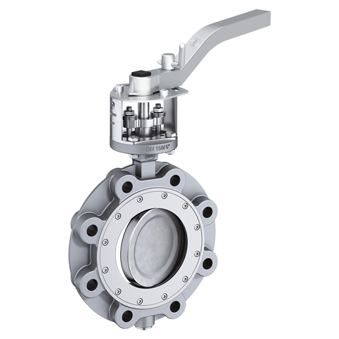 EBRO Klappe High Performance TYP HP 114 Anfl.g. GS-C25/ R-PTFE DN65/HH PN25/40 50000584