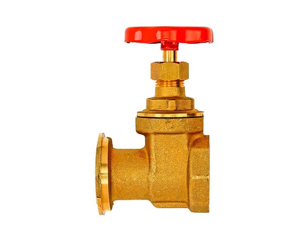 Flamco Pumpenschieber 1" Flamcoansch x 1" IG,mit Schwerkraftbremse M68202 Flamco Pumpenschieber 1" Flamcoansch x 1" IG,mit Schwerkraftbremse M68202