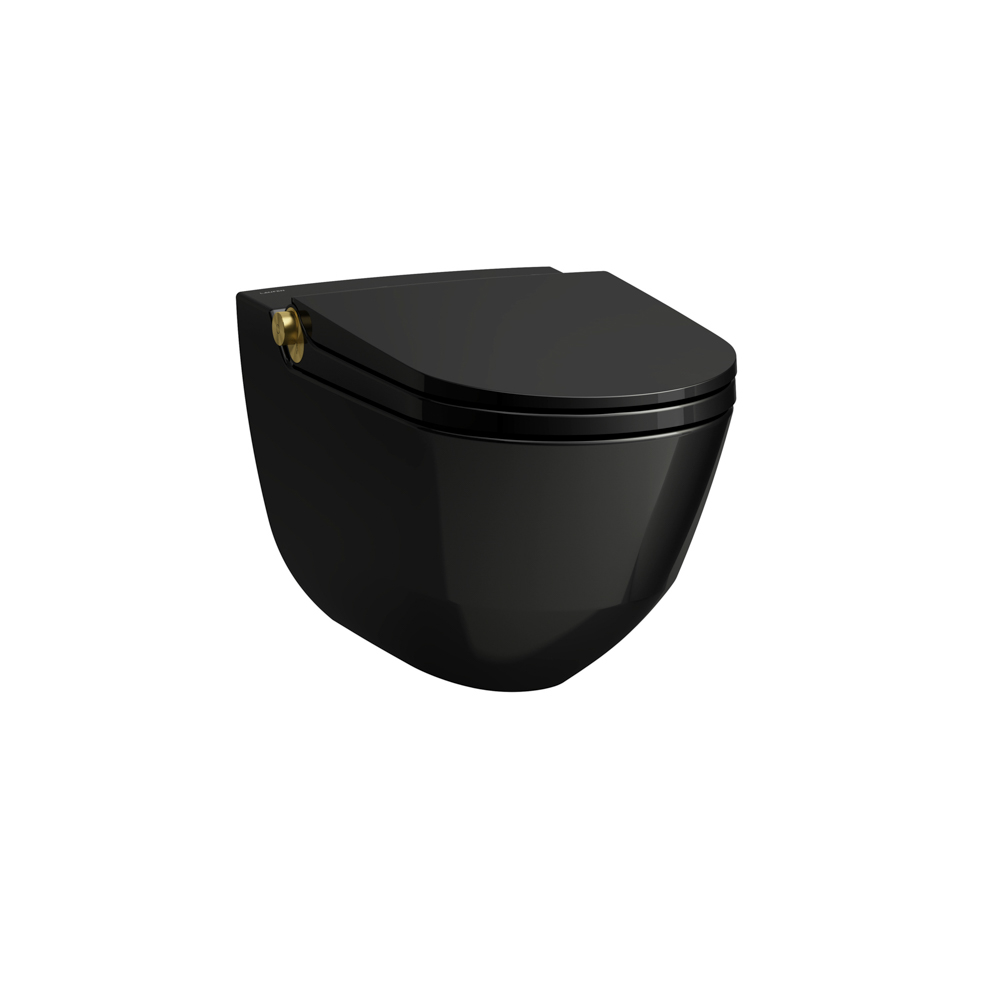 Laufen Dusch-T-WC wandh. RIVA 600x355x405 rim. sch gl m. Controller Gold gl H8206910220001 Laufen Dusch-T-WC wandh. RIVA 600x355x405 rim. sch gl m. Controller Gold gl H8206910220001