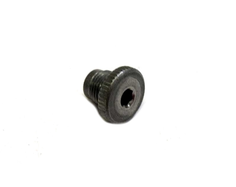 WINDHAGER SCHRAUBE F. BFP-PUMPE Verschlussschraube BFP/MS-Pumpe OKB 010648