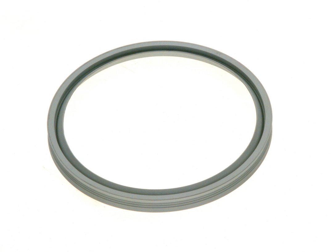 BOSCH Ersatzteil TTNR: 63036067 Lippendichtung everp