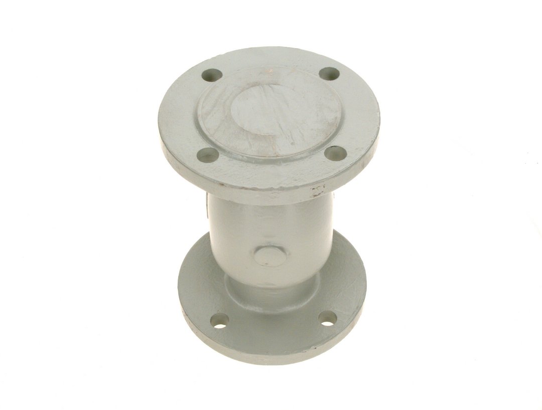 BOSCH Ersatzteil TTNR: 7736603883 Rueckschlagklappe DN65 PN16 everp BOSCH Ersatzteil TTNR: 7736603883 Rueckschlagklappe DN65 PN16 everp